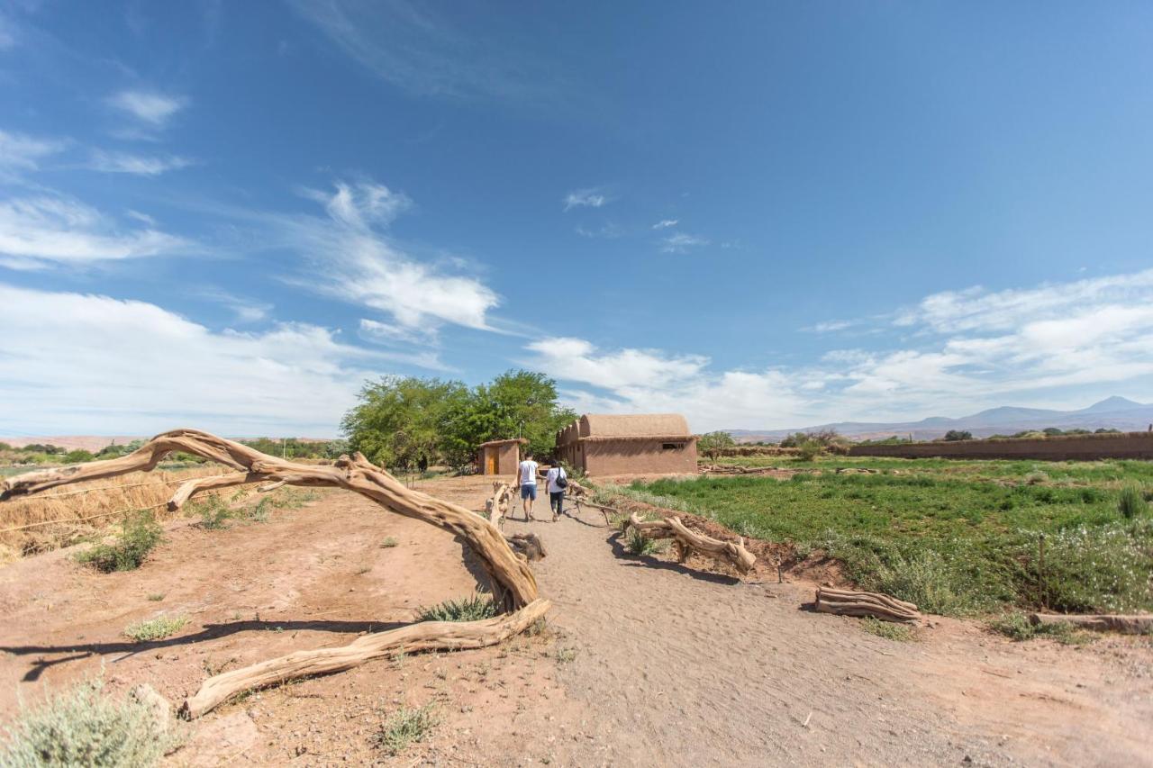 Planeta Atacama Lodge ซานเปโดร เด อาตากามา ภายนอก รูปภาพ